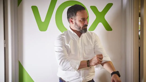 Abascal: «Ciudadanos dice que hay que repetir las elecciones en Andalucía porque Vox tiene la lepra»
