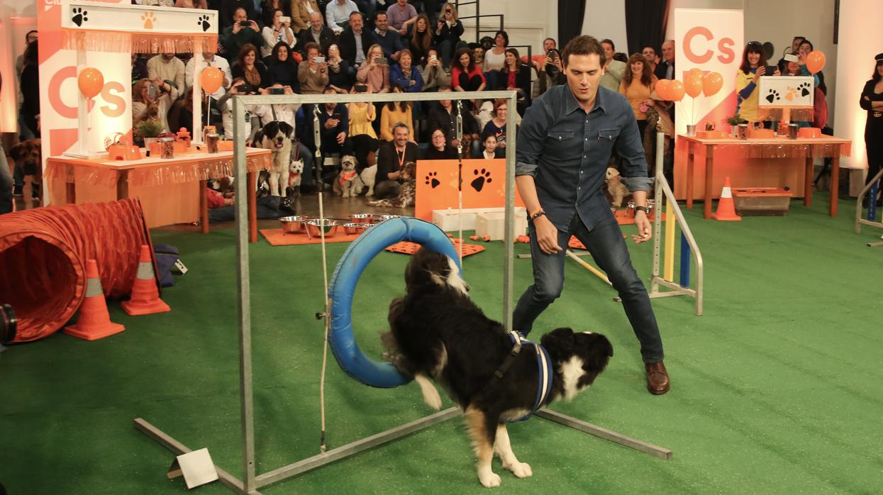 Albert Rivera participa en un ejercicio de exhibición con un perro