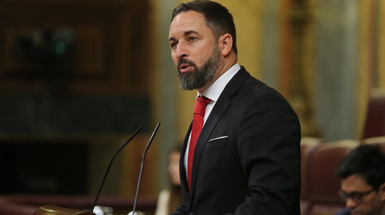 Santiago Abascal, líder de Vox