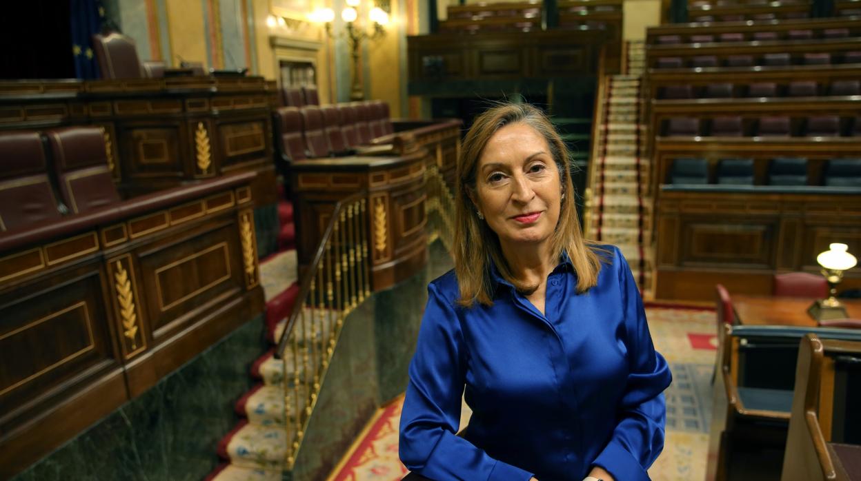 La vicepresidenta segunda de la Diputación Permanente del Congreso, Ana Pastor