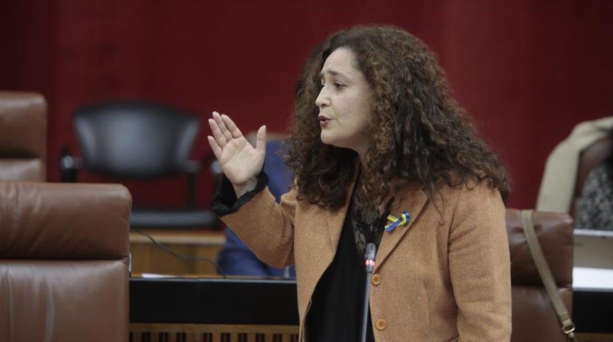 Inmaculada Nieto es la portavoz de Izquierda Unida en el Parlamento andaluz