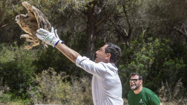 Juanma Moreno azuza el miedo a la crisis económica para pedir a los andaluces un gobierno sin Vox