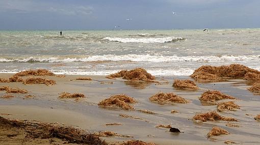 Fuerte oleaje en las playas de la provincia