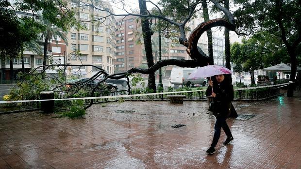 Gota fría: el temporal inunda calles, atrapa coches, cierra puertos y derriba árboles