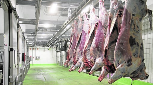 Imagen del matadero de carne ecológica de Mercavalencia