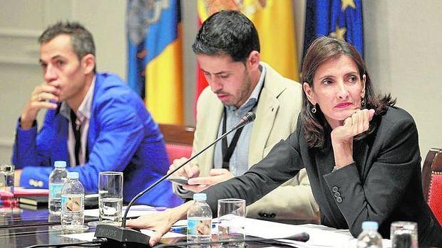 La consejera canaria de Turismo, María Teresa Lorenzo, en comisión parlamentaria