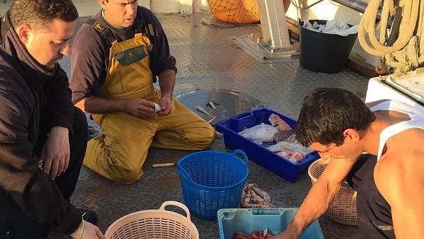 Almodóbar clasifica las capturas con la tripulación del pesquero vilero