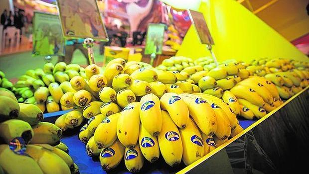 La Unión Europea suprime en diciembre el sello RUP del plátano y el tomate