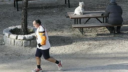Cinco lugares donde hacer «running» en Madrid