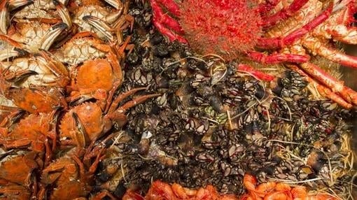 Nécoras, centollos, percébes y quisquillas de las Pescaderías Coruñesas