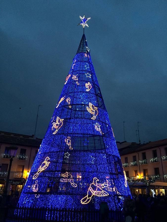 Unos luminosos renos custodian un gigante árbol en la Plaza Mayor de Palencia