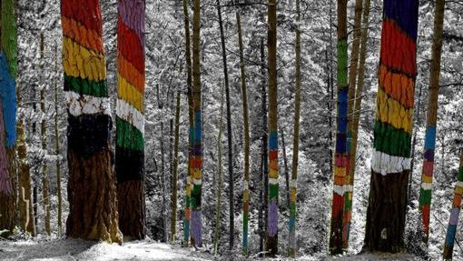 Cinco lugares para visitar en familia el día de Navidad en el País Vasco