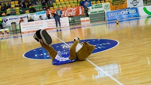 El Paco Paz es el escenario habitual de los partidos de baloncesto en Orense