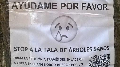 Imagen de la campaña contra la tala de árboles