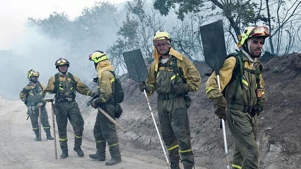 El coste del servicio ronda los 63 millones desde 2009