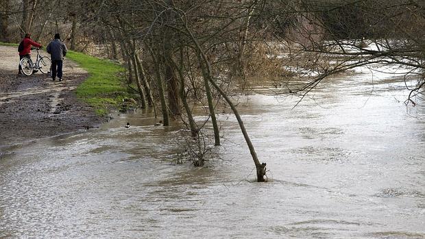 Dos personas abandonan un paseo de la ribera del Duero a su paso por la capital zamorana