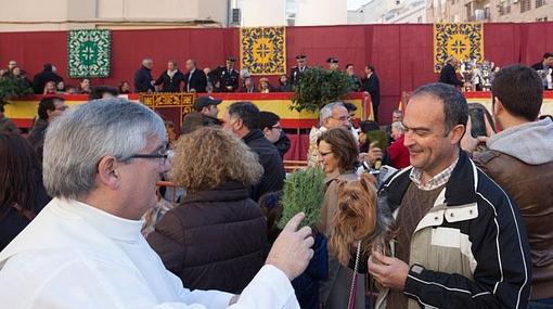 Bandera de España en la tribuna, el año pasado