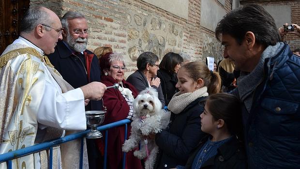 El párroco de Talavera bendice un perro