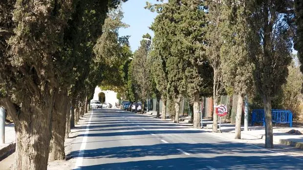 Vía de acceso al Cementerio Municipal de Alicante
