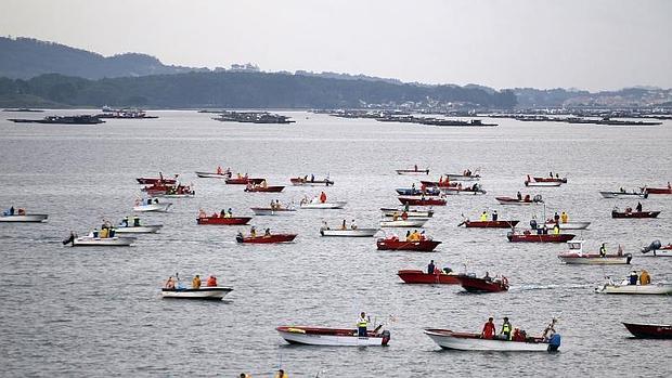 Pasar del marisqueo a la acuicultura será voluntario y siempre reversible