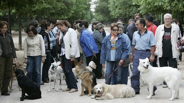 Con la toma de saliva o de muestras de pelo, el gobierno local guadalajareño quiere crear un registro que permita identificar y sancionar a los infractores