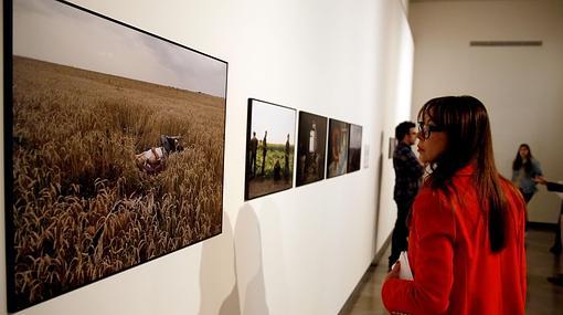 Imagen de la exposición