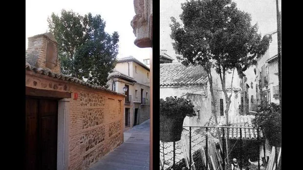 El árbol hoy y tal y como fue fotografiado a principios del siglo XX