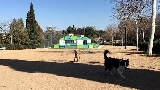 Perros paseando por el paseo de Recaredo