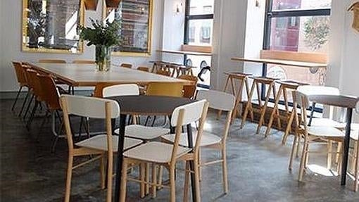 Cinco planes que compartir con tu mascota en Madrid