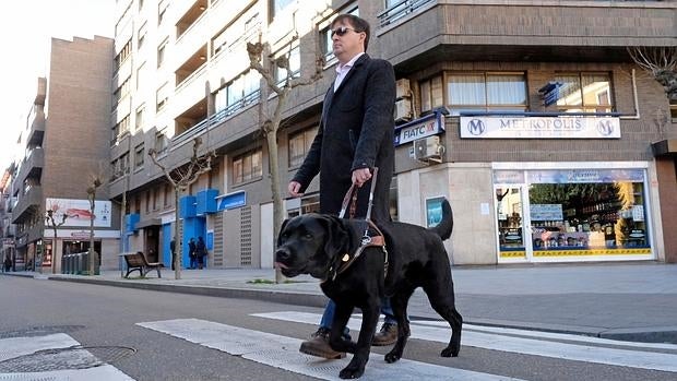 Javier González y Meira, cruzando un paso de cebra en Valladolid