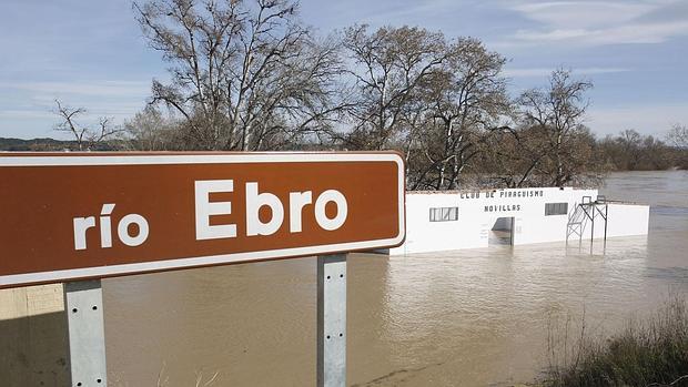 La riada del Ebro de hace diez días inundó mi hectáreas a su paso por Aragón