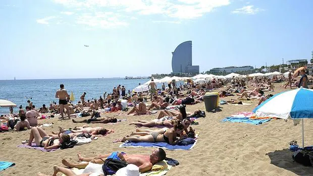 Barcelona permitirá a perros en sus playas en temporada alta