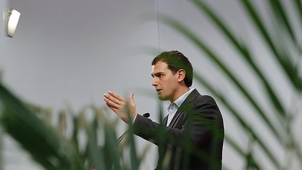 Albert Rivera