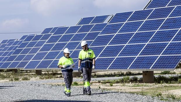 Imagen del huerto solar de Hidraqua en Santa Pola