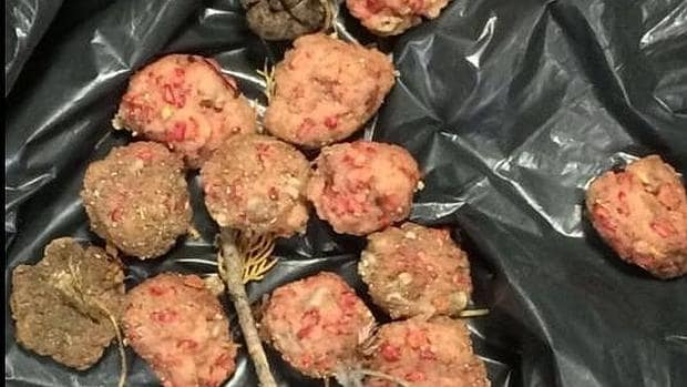 Hallan bolas de carne envenenadas en un parque de Valladolid
