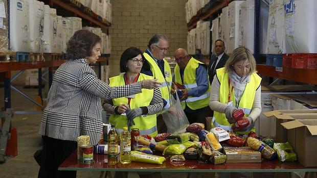 Doña Sofía, intercambiando impresiones con voluntarios del Banco de Alimentos