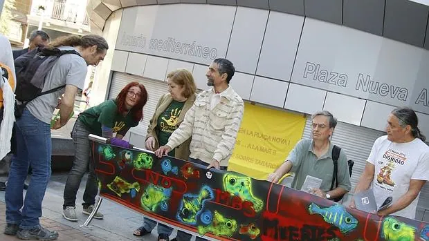 Integrantes de la Colla Ecologista de Alicante, en la concentración de protesta