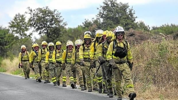 El operativo antiincendios volverá a contar con 7.000 efectivos en verano