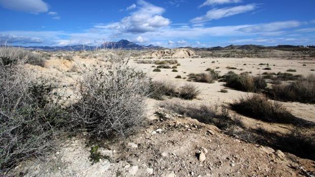 El río Seco a su paso por Muchamiel, en una imagen tomada el pasado marzo