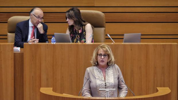 La procuradora popular Mar González, durante su intervención