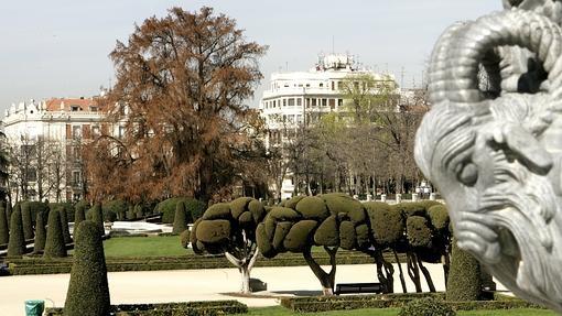 Imagen de los árboles del parque del Retiro,