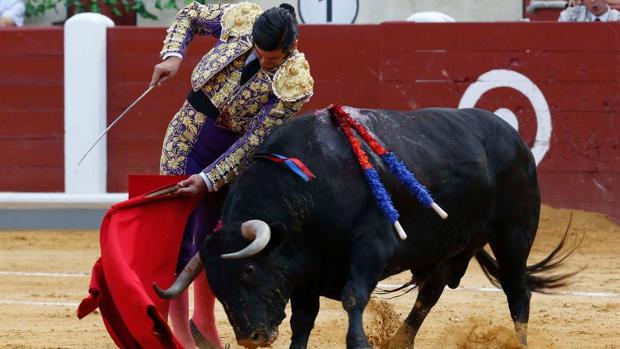 Una corrida de toros en Valladolid