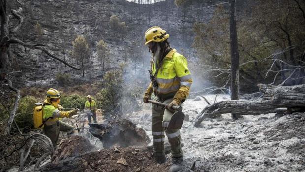 Un equipo de brigadistas trabaja en las labores de extinción del incendio de Carcaixent