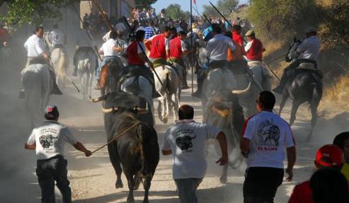 Un momento del encierro en Brihuega