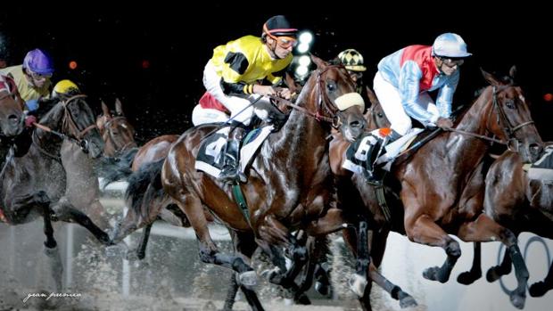 Vuelven las carreras nocturnas al Hipódromo de la Zarzuela