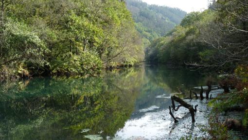 Río Eume en su paso por el Parque Natural