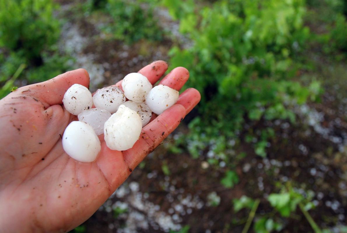 La granizada descargó a última hora de la tarde del lunes en el entorno de Calatayud