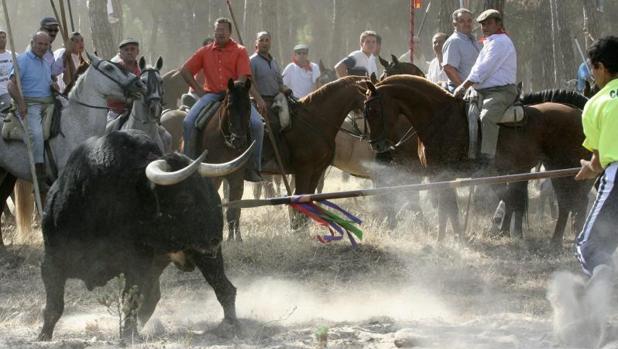 Momento en el que se da muerte al Toro de la Vega en uno de los torneos