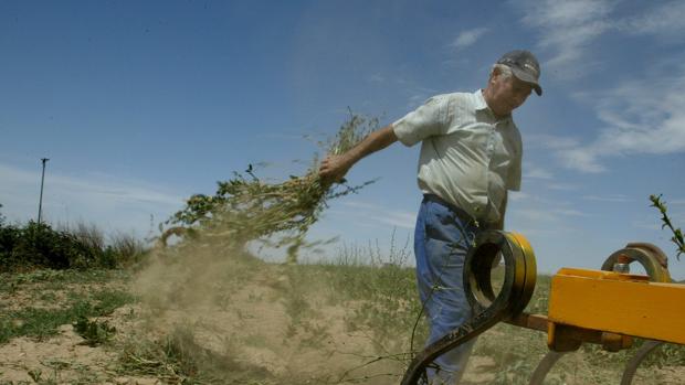 Aragón deja sin subvención al 40% de los jóvenes que quieren hacerse agricultores