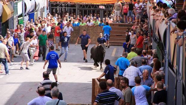 Celebración de «bous al carrer» en Pedreguer, en una imagen de archivo